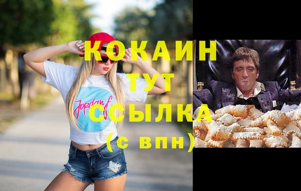 ешки Горняк